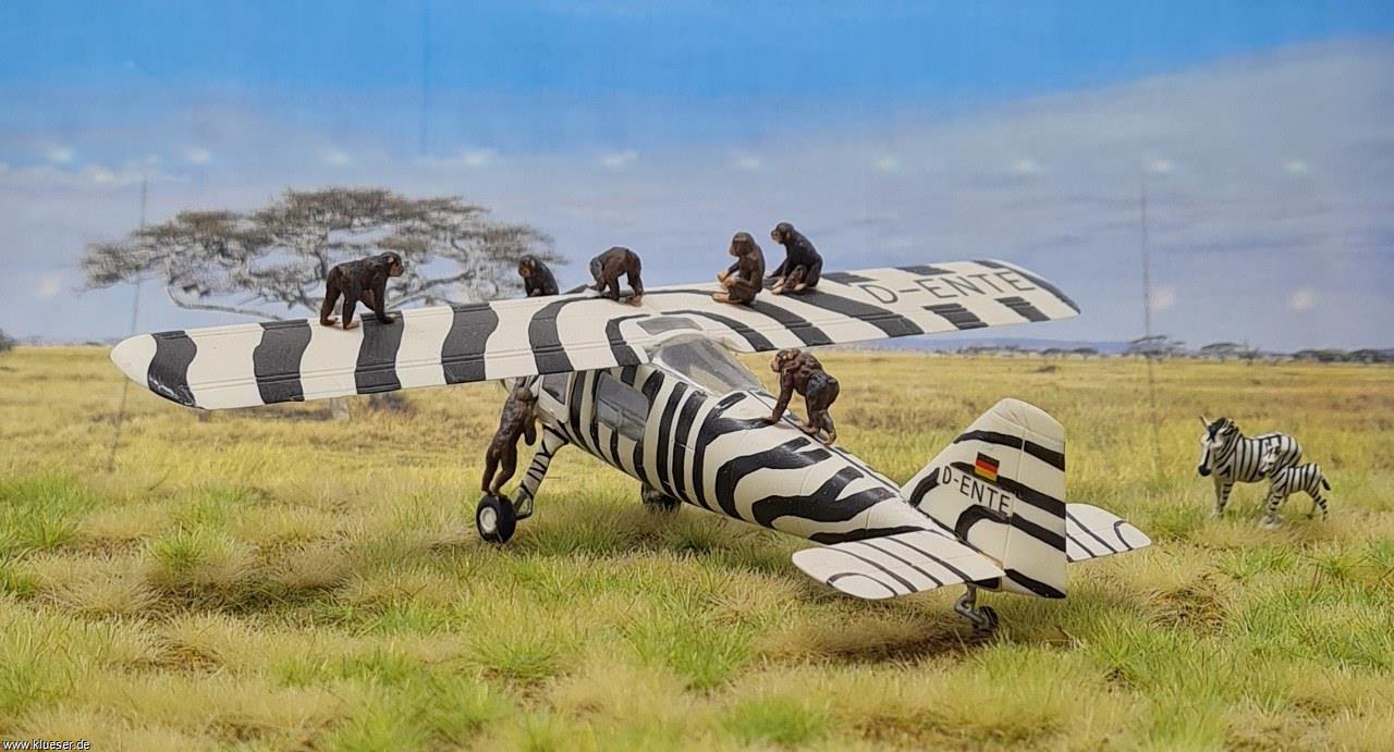 Zebras, Dornier Do27 Grzimek