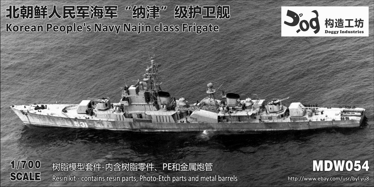 Najin class