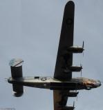 Consolidated B24J The Dragon and his Tail