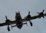 Consolidated B24J Liberator The Dragon and his Tail