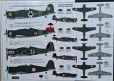 Fiat G50 bis Freccia Special Markings